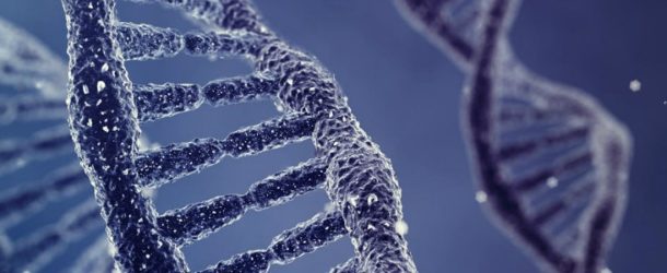 Technique-ingénieur.fr : Génie génétique : les dérives possibles continuent de CRISPeR le débat