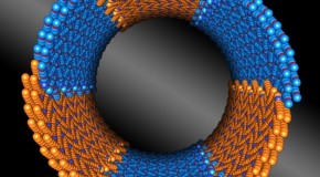 newscenter.lbl.gov : Nature-Inspired Nanotubes That Assemble Themselves, With Precision | Berkeley Lab