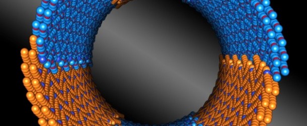 newscenter.lbl.gov : Nature-Inspired Nanotubes That Assemble Themselves, With Precision | Berkeley Lab