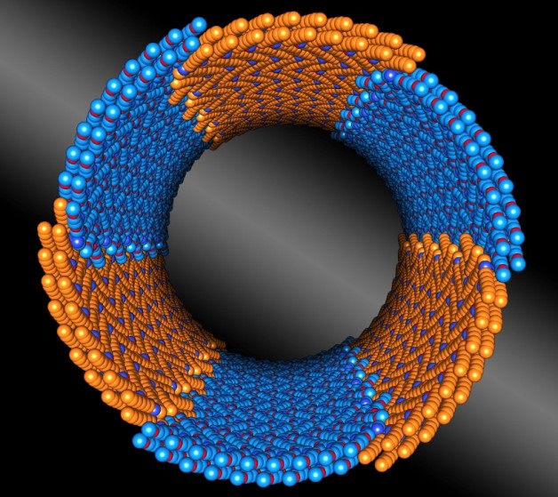 newscenter.lbl.gov : Nature-Inspired Nanotubes That Assemble Themselves, With Precision | Berkeley Lab