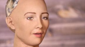 Sophia, le premier robot-citoyen, veut fonder une famille | Fredzone – RP