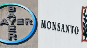 Bayer-Monsanto nous mènent-ils en BaTo ?