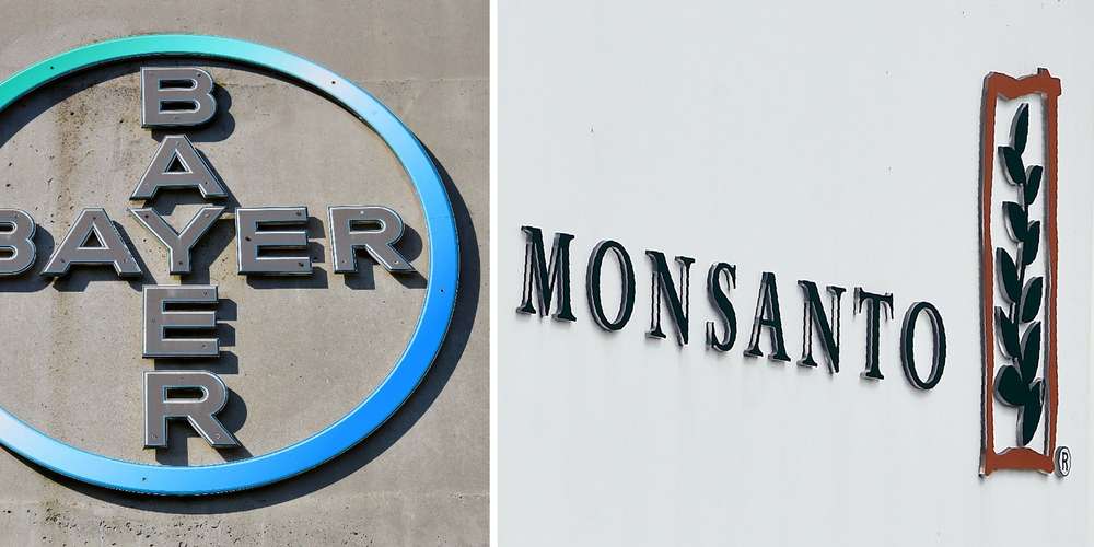 Bayer-Monsanto nous mènent-ils en BaTo ?