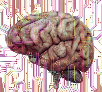 Neuralink : derrière la science-fiction, la « neurosécurité » | CyberCercle
