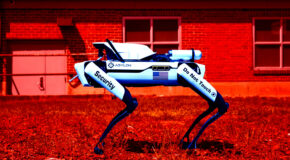 Le chien qui ne réclame jamais d’heures supplémentaires | Futurism
